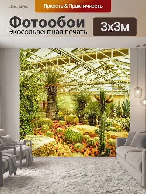 Фотообои Кактусовое пустынное растение