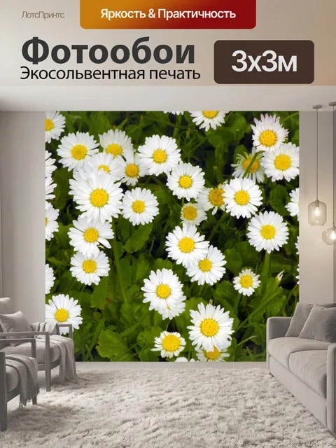Фотообои Маргаритка