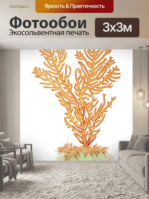 Фотообои Коралловый риф коралловое винтажное иску
