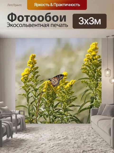 Фотообои Бабочка