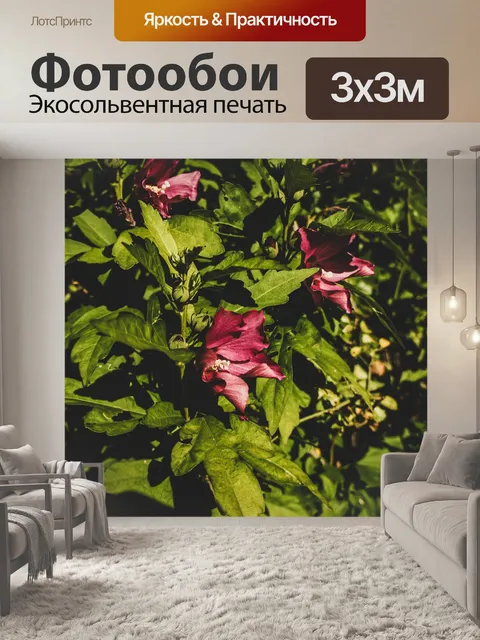 Фотообои Цветы