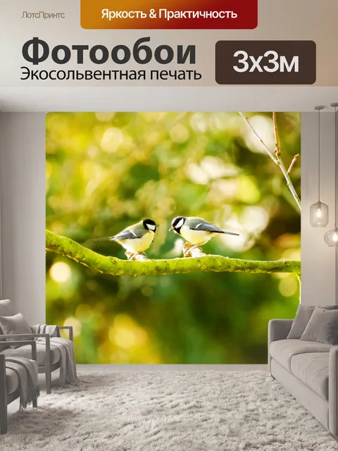 Фотообои Птицы