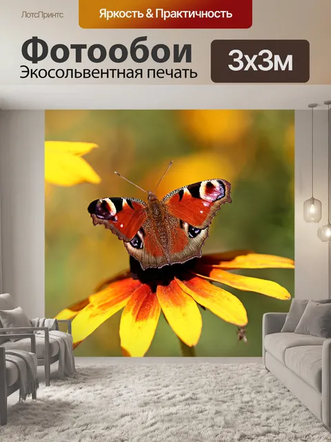 Фотообои Бабочка