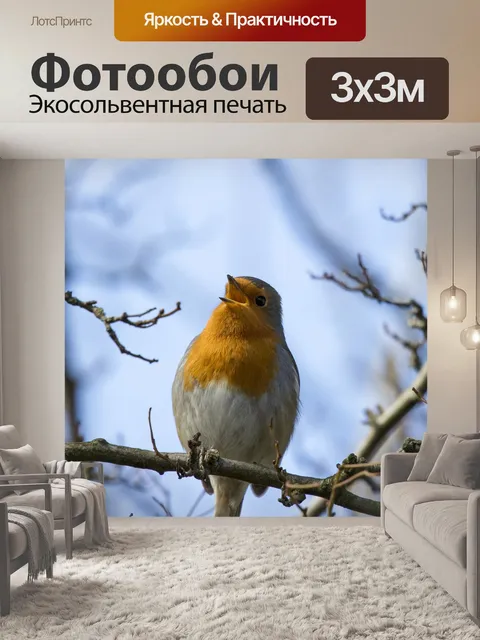 Фотообои Робин Эритакус рубекула