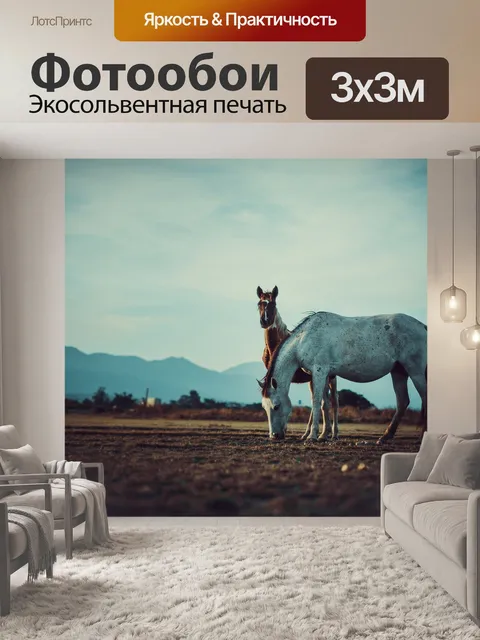Фотообои Лошади
