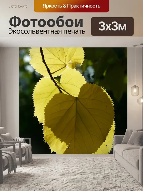 Фотообои Листья липы