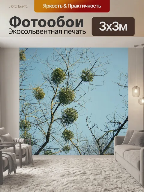 Фотообои Омела