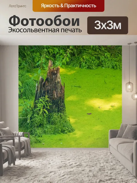 Фотообои Пень в болоте