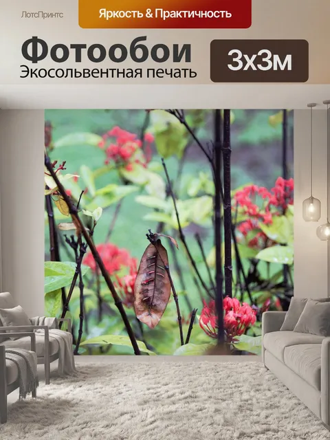 Фотообои Листья