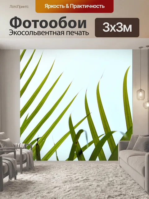 Фотообои Пальмовые листья
