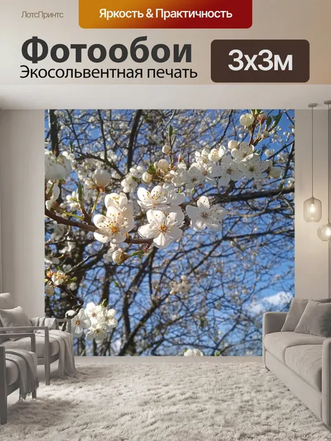 Фотообои Белые цветки