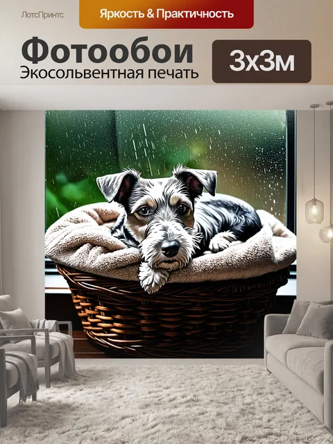 Фотообои фокстерьер, свернувшись калачиком в корзине, покрытой мягким пледом, под легким дождём за окном