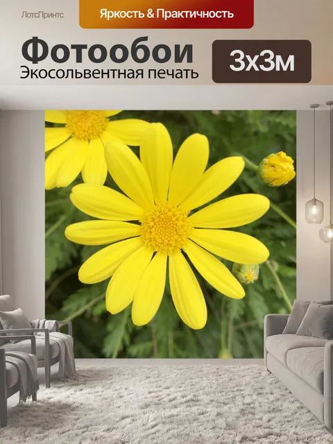 Фотообои Космос