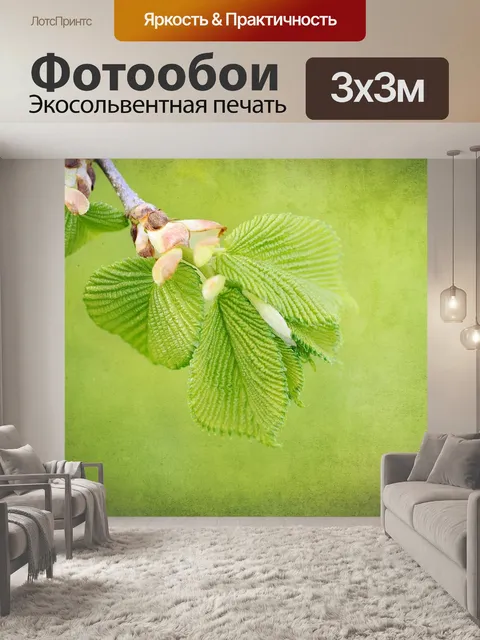 Фотообои Ветвь