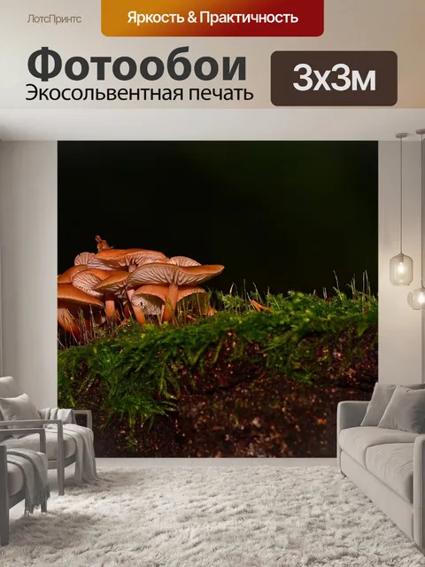 Фотообои Лес