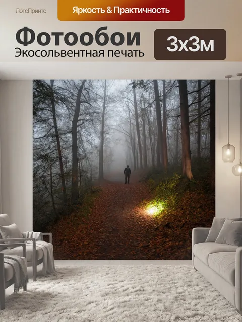 Фотообои осень походы: заброшенная тропа