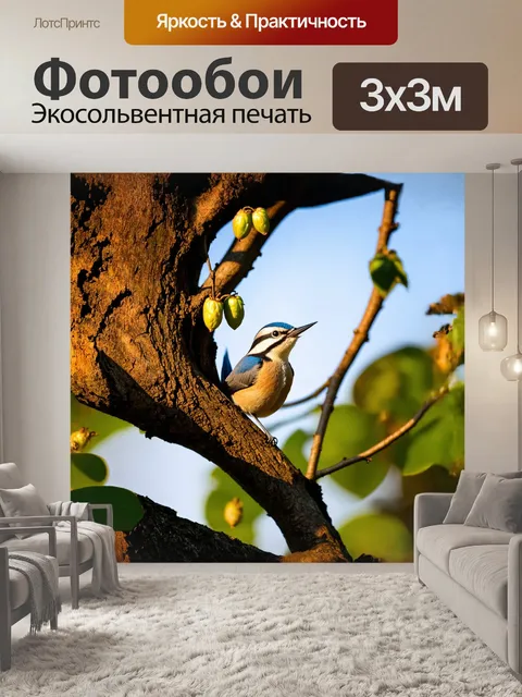 Фотообои поползень, молодой, небольшой, весело прыгает по веткам, его яркая оперение отражает солнечный свет