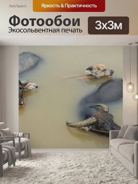 Фотообои Водяной буйвол