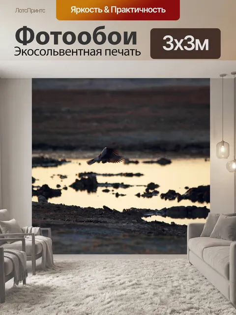 Фотообои птица взлетает над водой