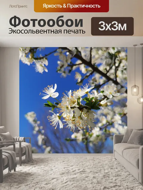Фотообои Цветы
