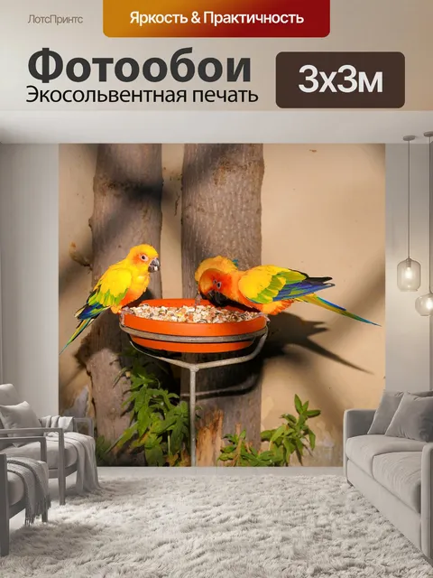 Фотообои Птицы