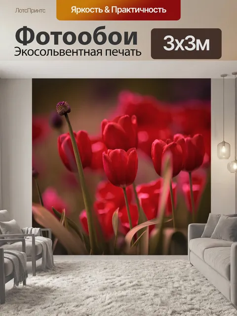Фотообои Цветы