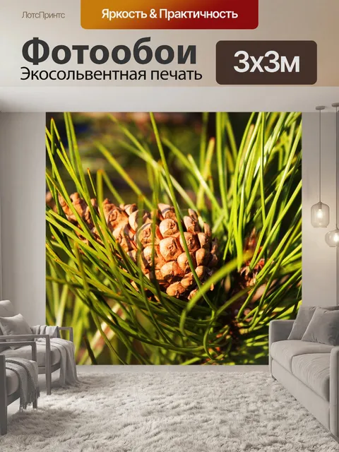 Фотообои Конус