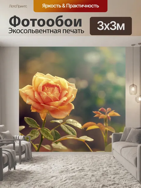 Фотообои Роза
