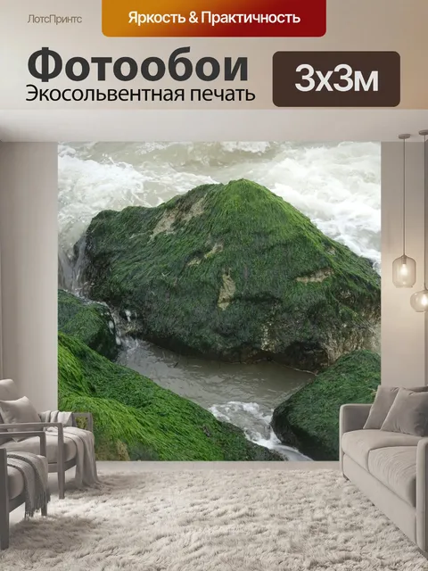 Фотообои Ocean Rocks зелеными водорослями