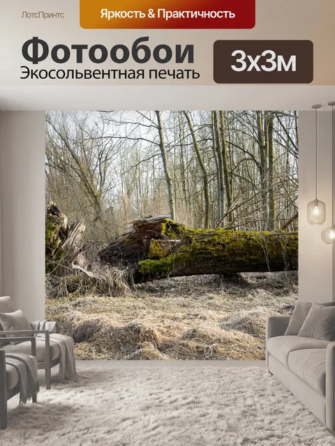 Фотообои Дерево