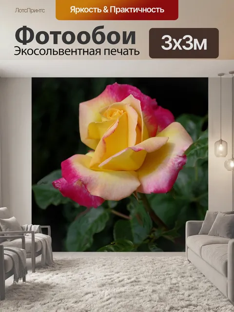 Фотообои Цветы