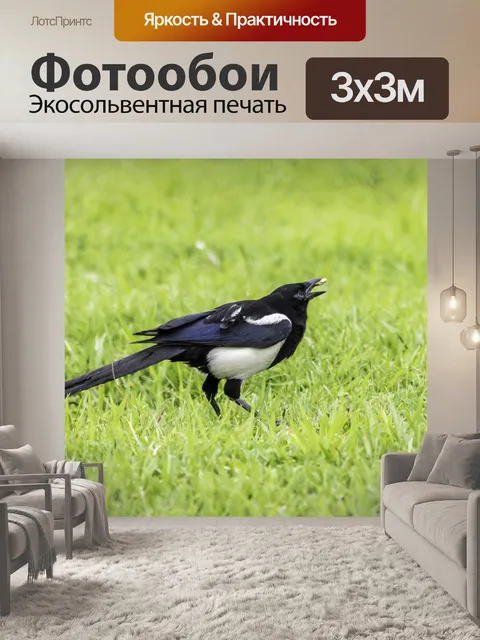 Фотообои Птица