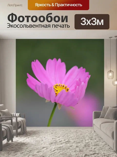 Фотообои Цветок космоса