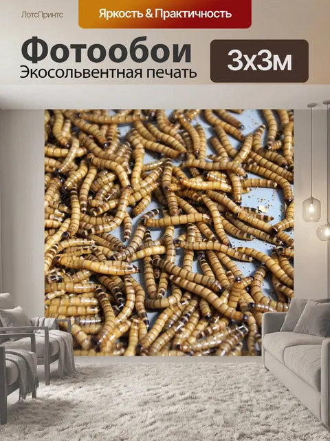 Фотообои Mouční