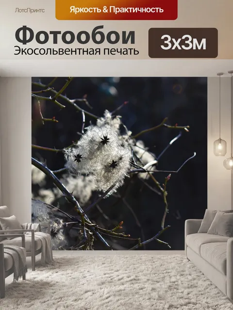 Фотообои Цветок