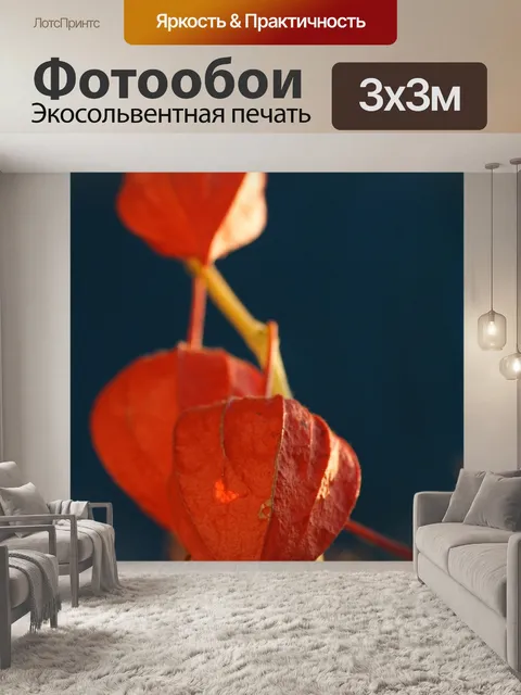 Фотообои Цветок
