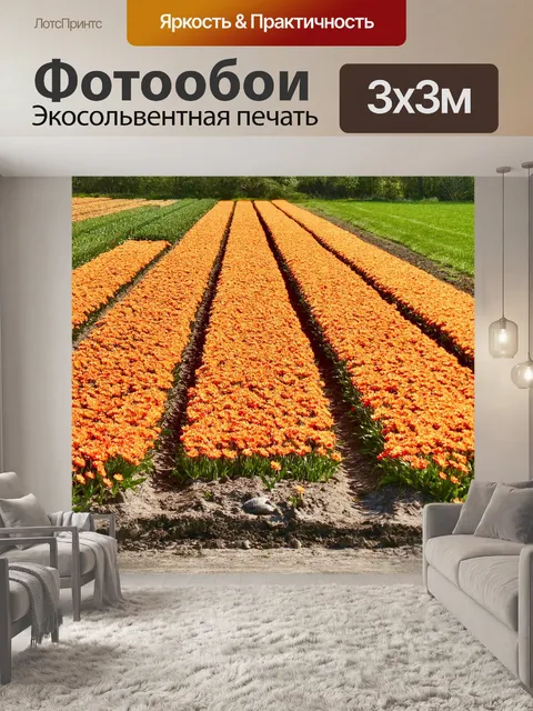 Фотообои Ряды