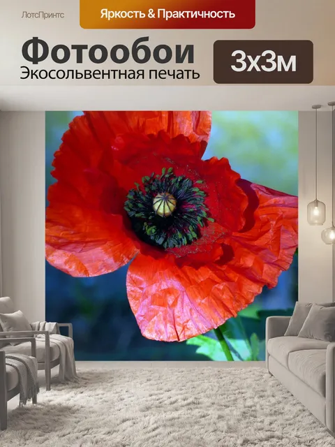 Фотообои Цветы