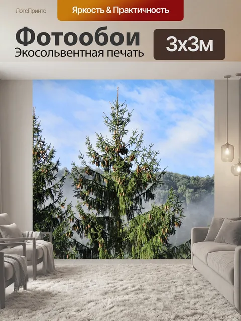 Фотообои Туман