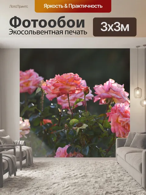 Фотообои Цветение розового сада