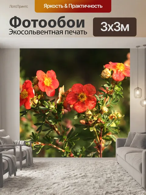Фотообои Цветы