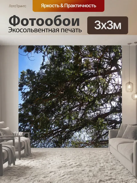 Фотообои солнце за ветвями дерева