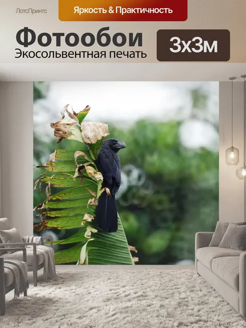 Фотообои Пейзаж
