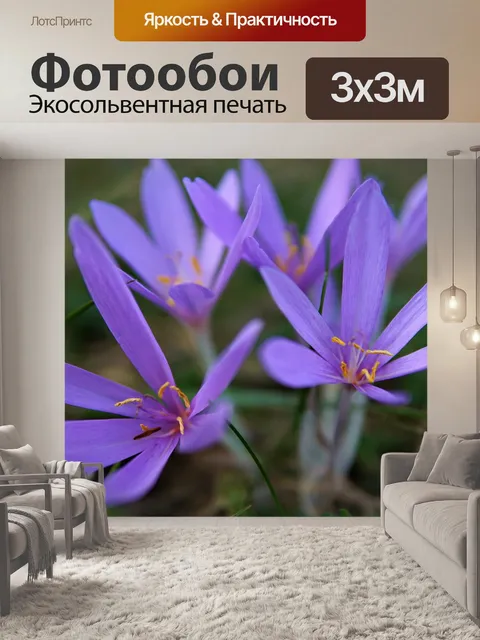 Фотообои Цветы