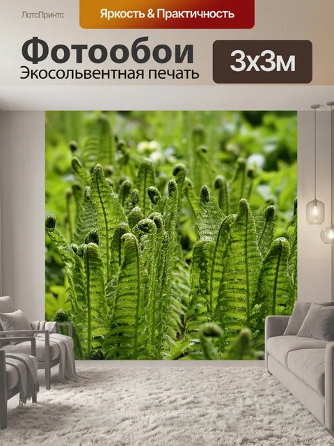 Фотообои Папоротник