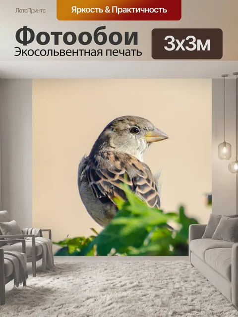Фотообои Птица