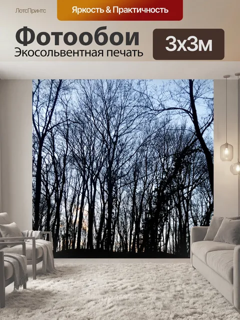 Фотообои Лес