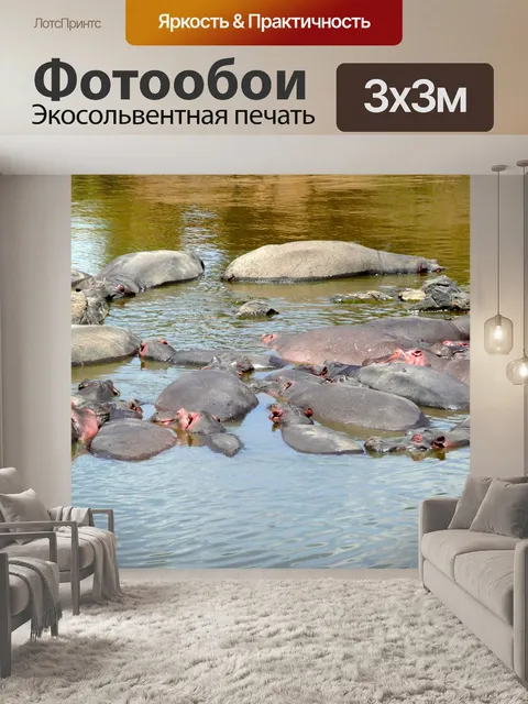 Фотообои Бегемот