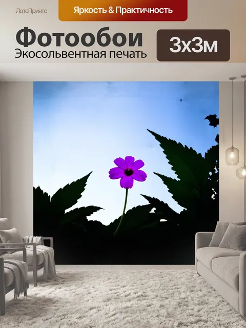 Фотообои одиночный цветок с яркими фиолетовыми лепестками