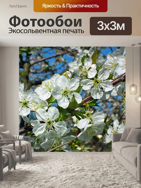 Фотообои Вишня